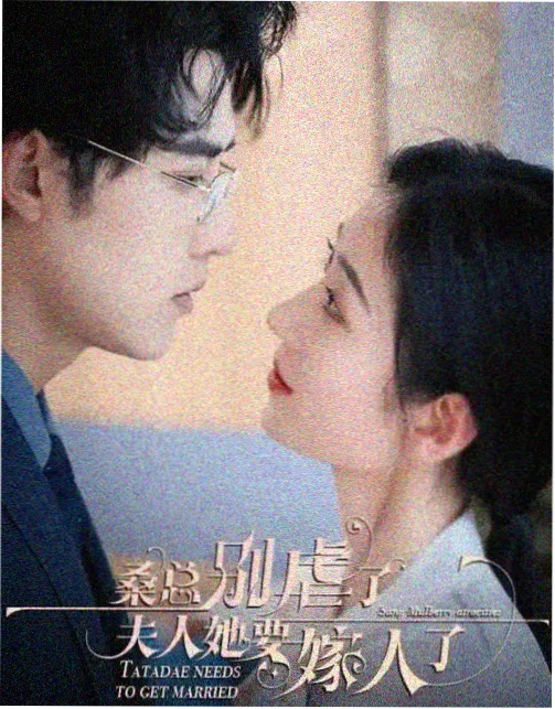繁花 剧集在线观看b站视频
